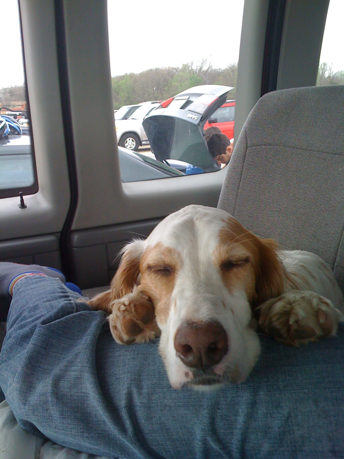 My cute dog keeping me company between races in Oklahoma last weekend.  He's a great sleeper.
