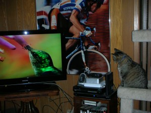 Naomi was just as interested in the hummingbirds as I was.  She watched nearly the whole show with me.
