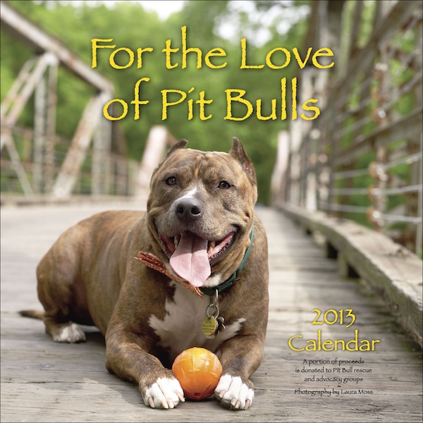 Pics Pit Bulls