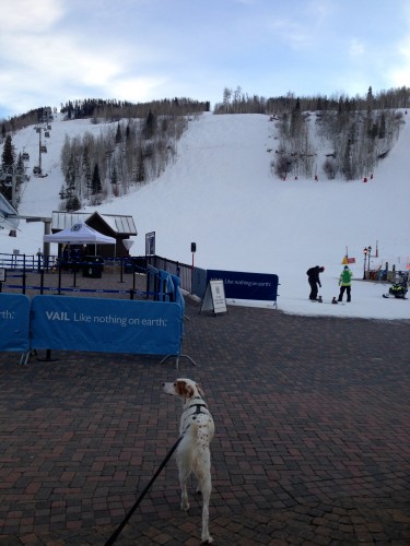 Bromont wanting to check out the ski hill.