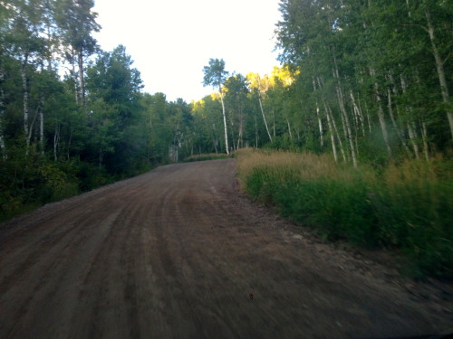 The road is super steep and has a bunch of braking bumps.  It heads up through the aspen trees.