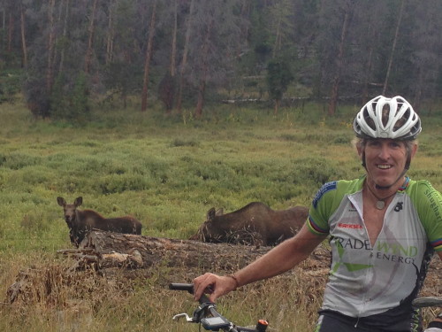 Moose sighting on the ride.