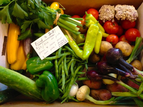 These boxes of fresh vegetables are down at the Ideal Market. Chris Ransom grows the vegetables.