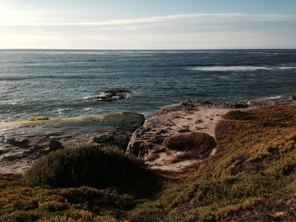 The scenery coming back through La Jolla is unparalleled.  