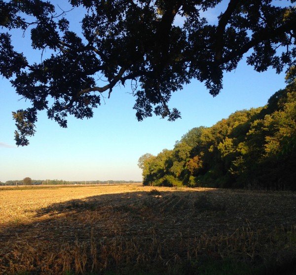 Long shadows and harvested fields seem very fall like.