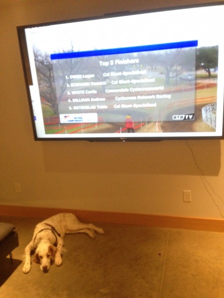 Bromont was uninterested in watching the race.  He much prefers seeing it live.