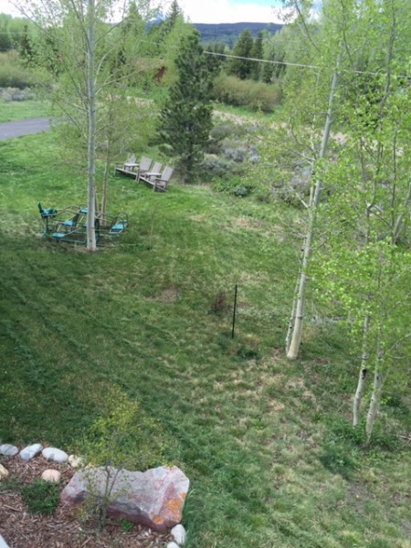 Part of the front yard  I mowed.  It is pretty rustic/primitive in places.  The Weedeater mower ran forever on a tank of gas.  I couldn't believe it.