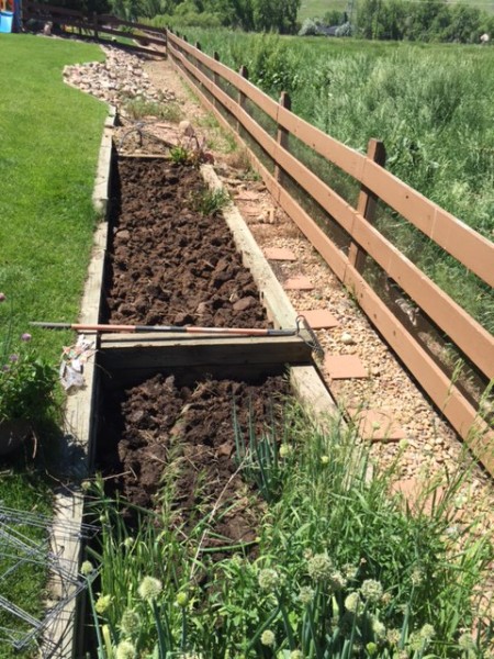 I turned over some of Vincent's garden yesterday morning.  I thought of Glenda when I was doing it.  Her parents are Kansas farmer's and she had an amazing vegetable garden.