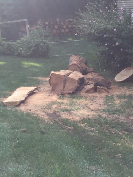 Neighbor that cut the tree to make it into dimensional lumber.
