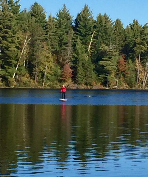 Dennis was on a paddle board, excorting Gwen, who swam an hour.  Guezz.  