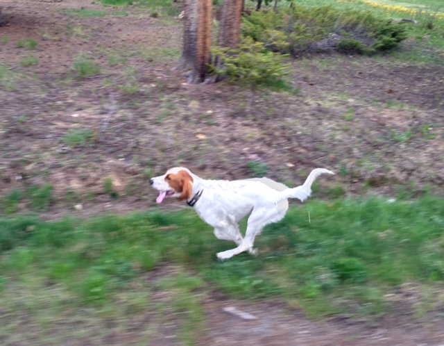 Tucker looks like he was running fast, but he was in slow motion.  No air I'm guessing.