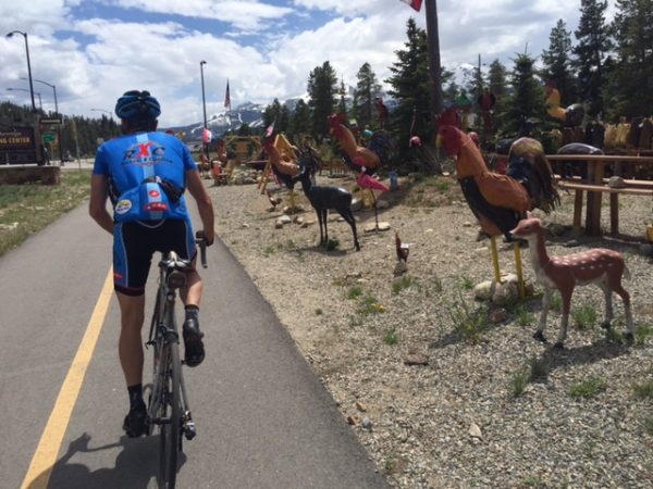 Vincent on the Breckenridge bike path. I always think of the movie Hang Over seeing these chickens.