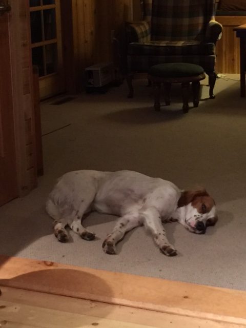 Tucker is pretty exhausted at night.