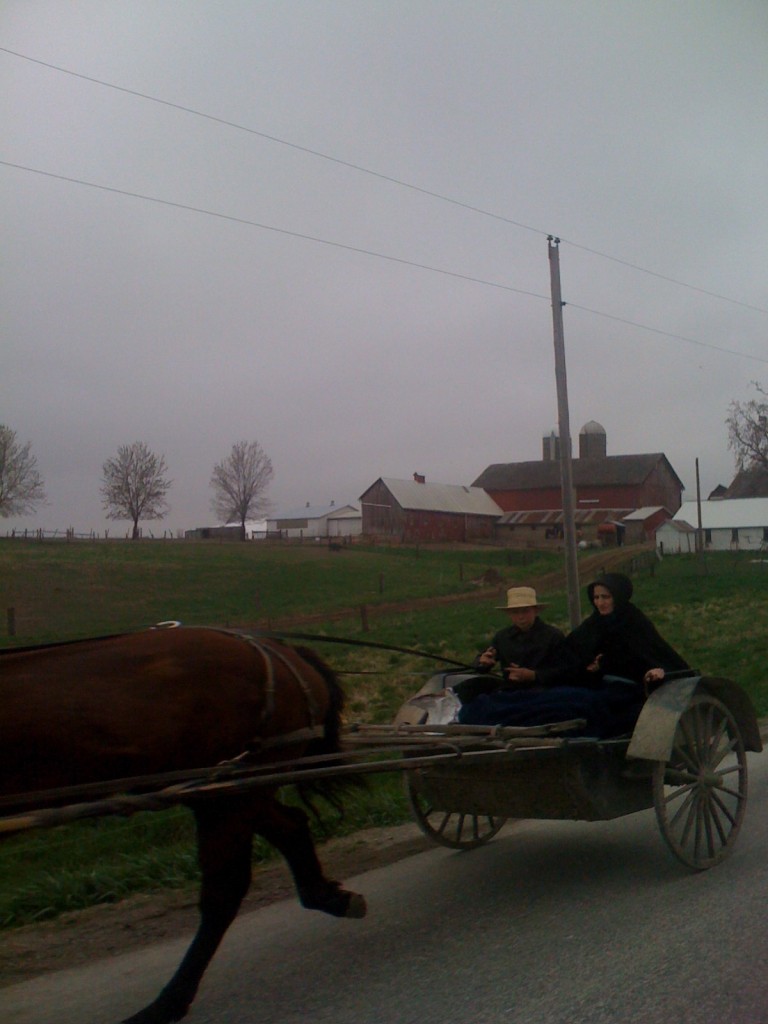 Mennonite carriage shot from the van on the way to the race.