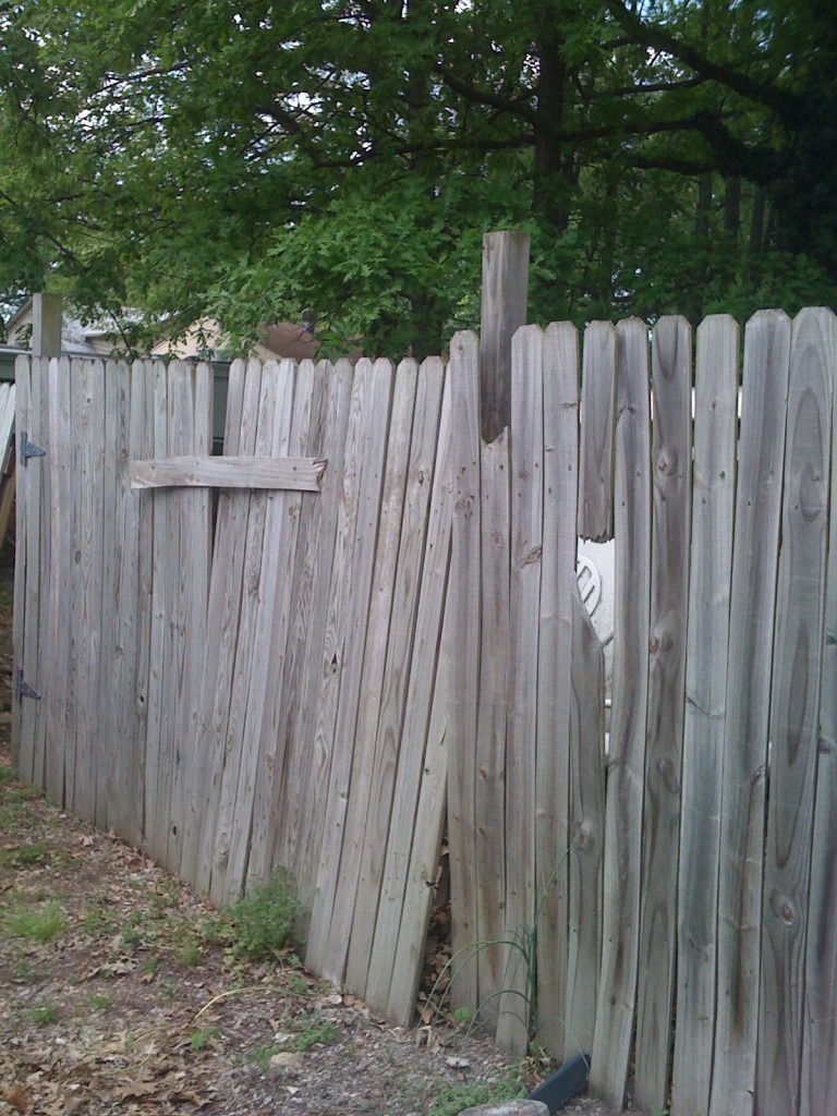 Original rickety fence.