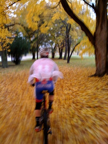 Bill riding through maple leaf carpet.