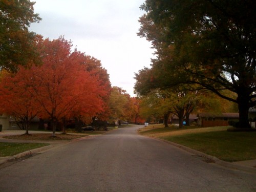 Looking down my street on the way back from a ride.  The leaves are beautiful, but treacherous when they're wet.  