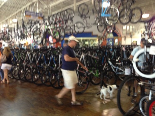 Richardson Bike Mart is dog friendly.  You can't beat that.