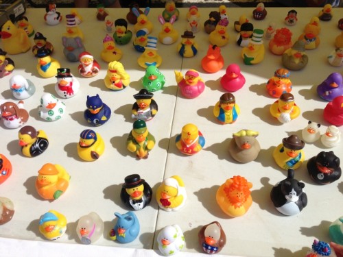 Rubber Duckie race table at the Frisco Farmer's market.