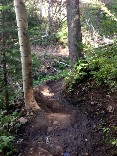 Some of the singletrack descents were muddy.