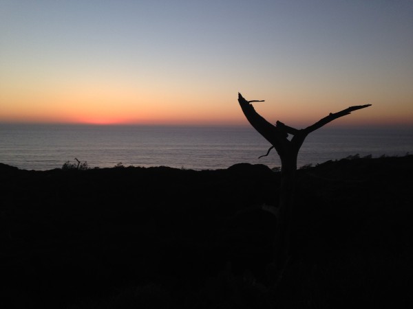 From the top of Torrey Pines at dusk.