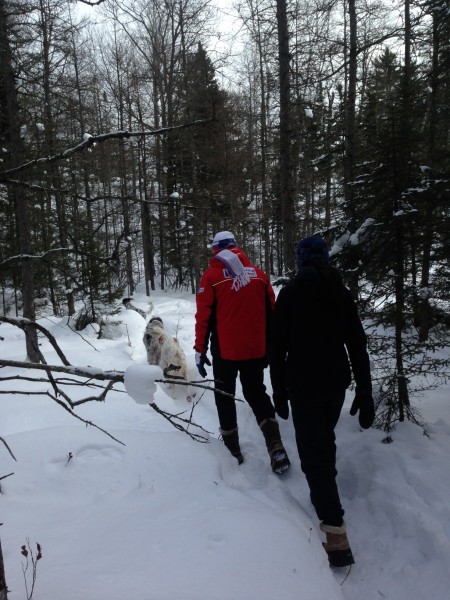 The trails are so frozen hard that you don't even need to use snowshoes where we've been before.