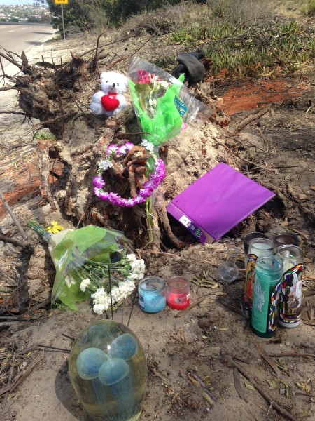 I saw this cool shrine on La Costa Blvd. last weekend.  I like to stop on look at these.  The glass thing, with the jellyfish look, seems pretty expensive.  There is a pair of socks on the top right, plus the teddy bear.  I wonder who this is for?