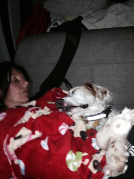 Trudi and Bromont aren't short of sleep today.  They slept most of the way back to Topeka.  