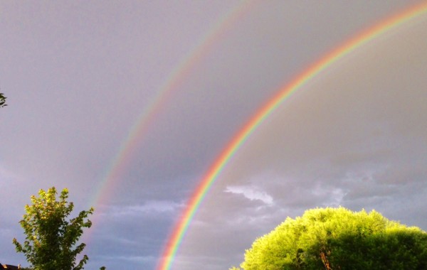 It's been raining for an hour or so every night here in Arvada.  Yesterday, this was the result.  Super beautiful.
