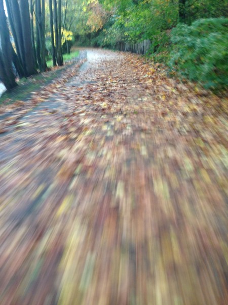 This isn't that usual around here.  The bike paths are covered with leaves, but I assume it is just the time of the year.