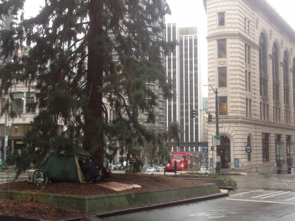 Before that, we did a 7 miles walk around town.  I didn't start Strava on my phone until have way in and had 3.something miles.  This guy had his tent set up really in the middle of the street.  The building behind the tree is super cool.
