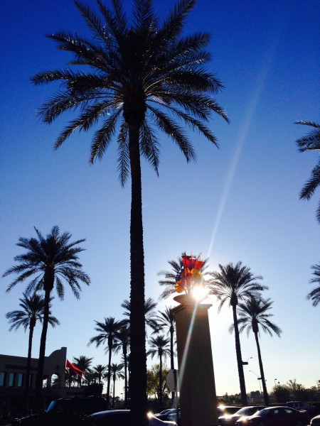 It was nice waking up to Palm trees and warmth yesterday.