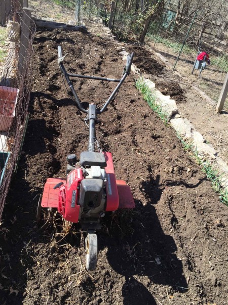 I sometimes just dig in the compost, but got out the rototiller yesterday.