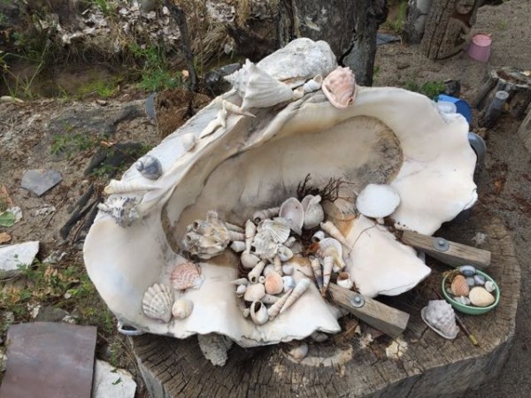 This clam shell was maybe a meter across and weighed 210 lbs.  Something from the land of the giants I guess.