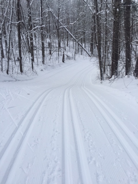 The trail was nearly perfect yesterday.