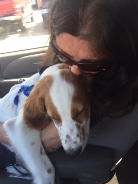 Trudi holding Tucker on the way to the airport.