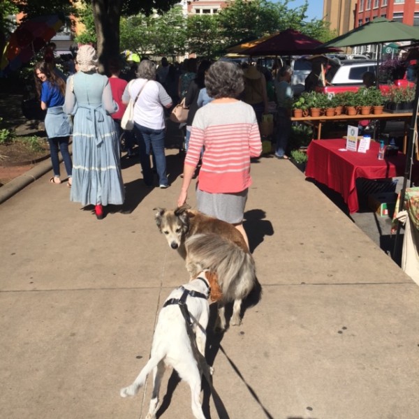 I went to the farmer's market in downtown Fayetteville yesterday before the race.  There were more dogs there than any farmer's market I've been to.