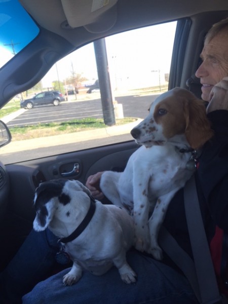 Frankie and Tucker on Dennis' lap heading over to the trails to walk.