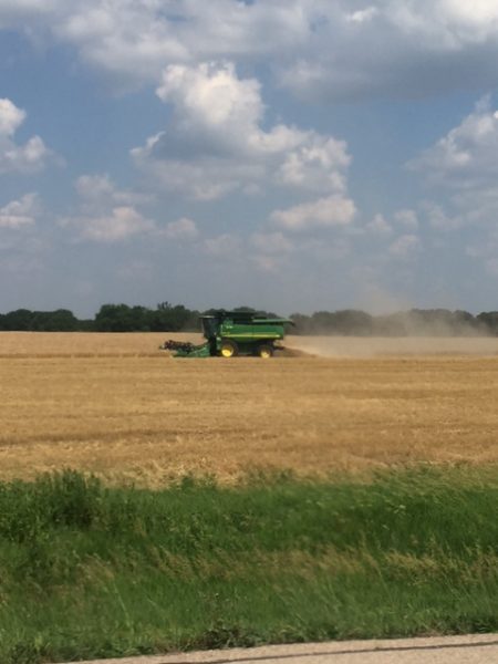 They are already harvesting wheat in Southeastern Kansas.