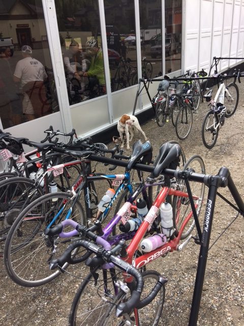 Tucker hanging out with the bicycles after the Copper Triangle ride.
