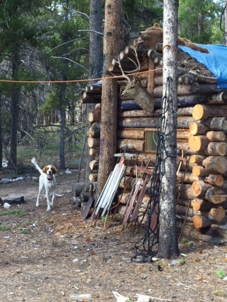 This was outside of Leadville.  I was calling Tucker, who was running around here.  Notice the bear head on the top of the shack.  When I saw that, I started worrying that both Tucker and I were in the wrong place.