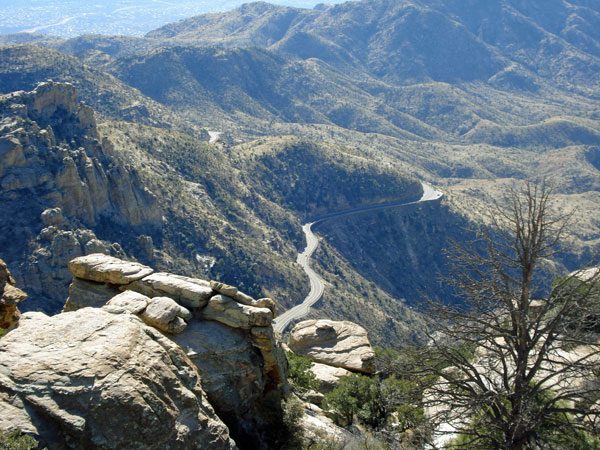 I've ridden Mt. Lemmon since. Back then I might have had only a 19 in the rear, with a 42 small front ring. It was probably a little hard.